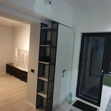 Kiseleff Flat * Bucharest