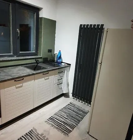 Apartment Kiseleff Flat